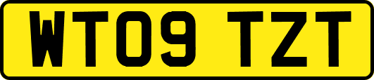 WT09TZT