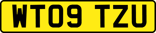 WT09TZU