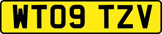 WT09TZV