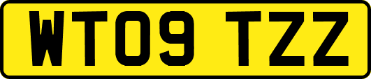 WT09TZZ