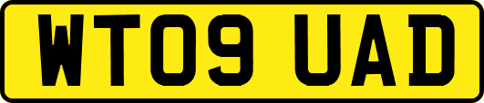 WT09UAD