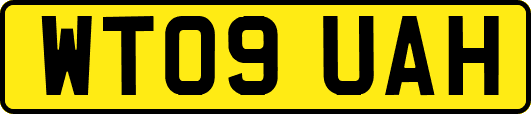 WT09UAH