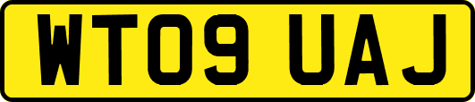 WT09UAJ