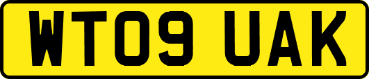 WT09UAK