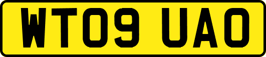 WT09UAO
