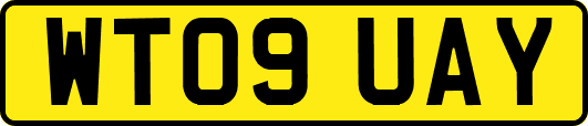 WT09UAY