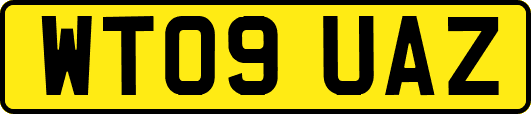WT09UAZ