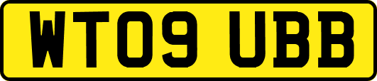 WT09UBB