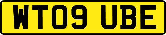 WT09UBE