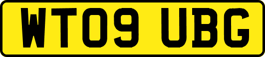 WT09UBG