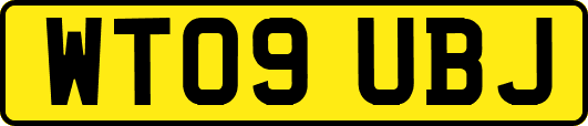 WT09UBJ