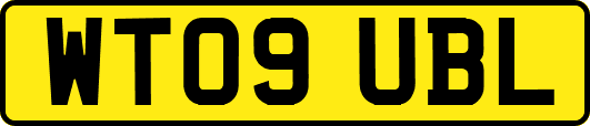 WT09UBL