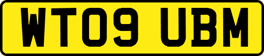WT09UBM
