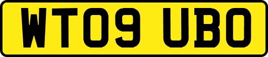 WT09UBO