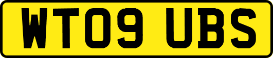 WT09UBS