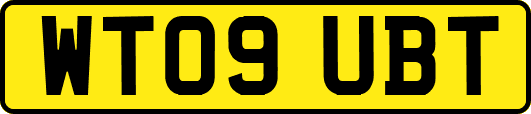 WT09UBT