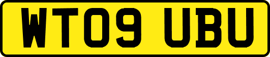 WT09UBU
