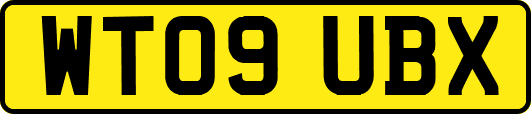 WT09UBX