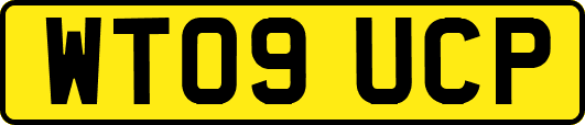 WT09UCP