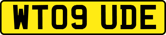 WT09UDE