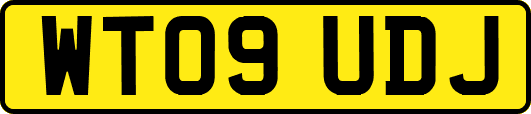WT09UDJ