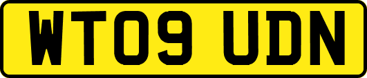 WT09UDN