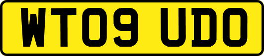 WT09UDO