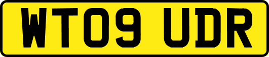 WT09UDR