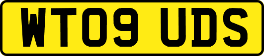 WT09UDS