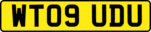 WT09UDU