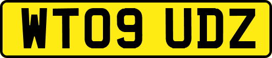 WT09UDZ