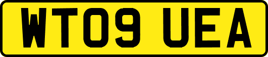 WT09UEA