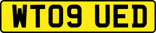 WT09UED