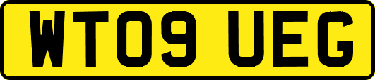 WT09UEG