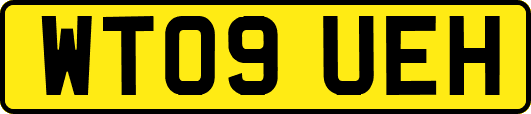 WT09UEH