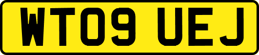 WT09UEJ