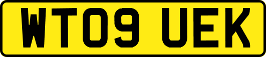 WT09UEK