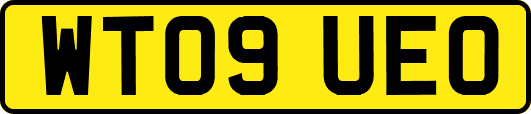 WT09UEO