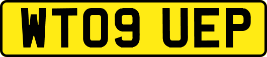 WT09UEP