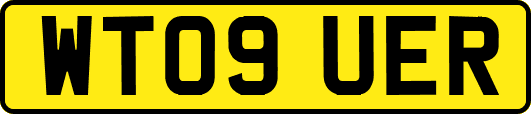 WT09UER