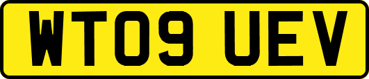 WT09UEV