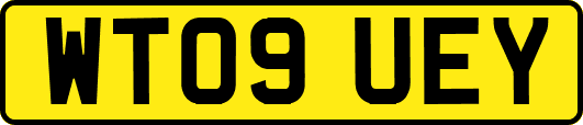 WT09UEY