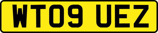 WT09UEZ