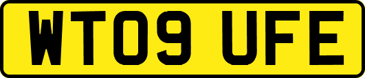WT09UFE