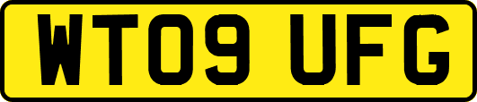 WT09UFG