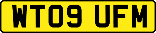 WT09UFM