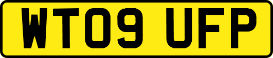 WT09UFP