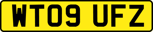 WT09UFZ