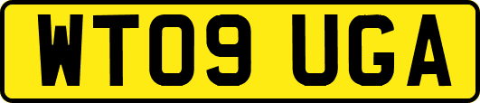 WT09UGA