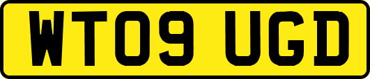WT09UGD